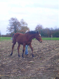 IMGP0600