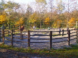 IMGP0606